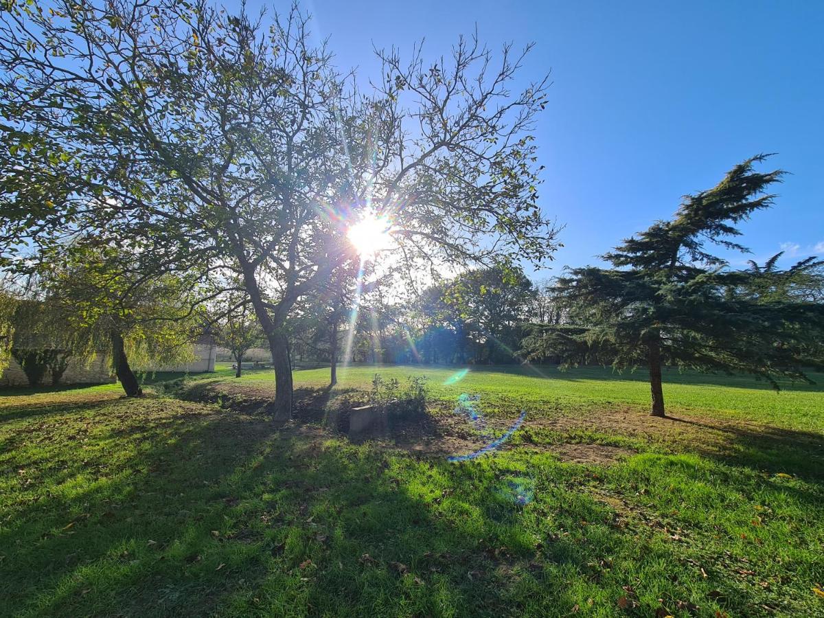 לינה וארוחת בוקר Saint-Sylvestre-sur-Lot Le Coq En Repos מראה חיצוני תמונה